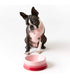 Le Creuset(ル・クルーゼ)PET BOWL M/ペットボウル